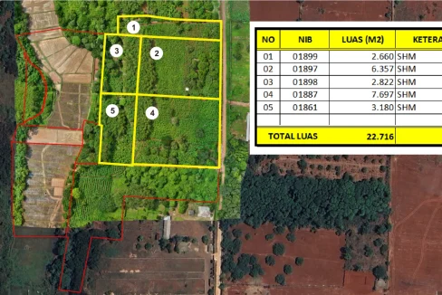 tanah dijual subang investanahku.com 4