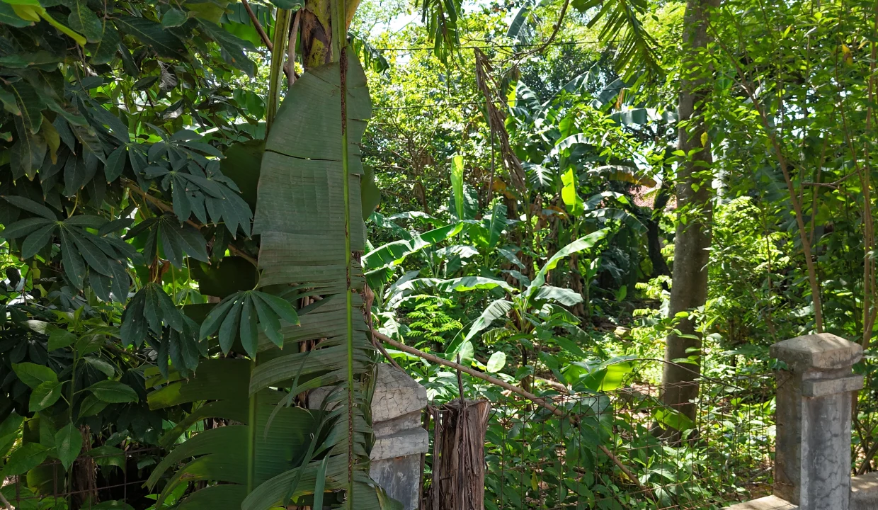 DJI_20251117094640_0003_D