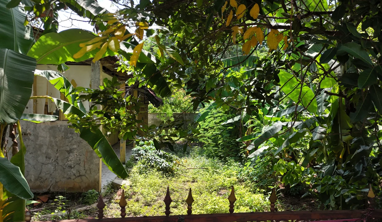 DJI_20251117094712_0004_D