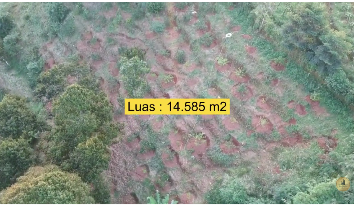 Dijual Kebun Durian Produktif di Cijambe Subang 1