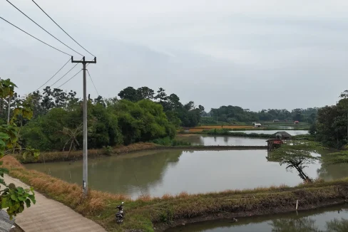 kolam produktif subang