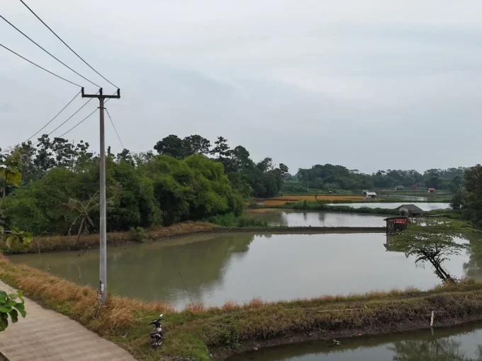 kolam produktif subang