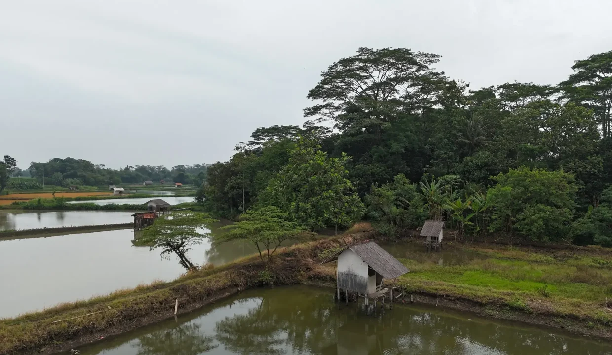 DJI_20260117094339_0152_D